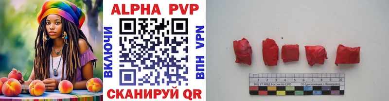 A PVP СК КРИС  Оса 