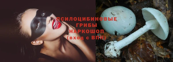 PSILOCYBIN Балахна
