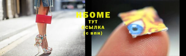 PSILOCYBIN Балахна