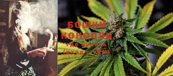 дживик Баксан