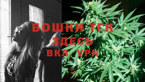дживик Баксан