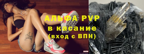 PSILOCYBIN Балахна