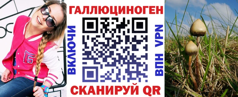 Галлюциногенные грибы GOLDEN TEACHER  Оса 